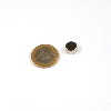 Runde Neodym -Magnetdurchmesser 10 mm x 5 mm Magnet 3,14 kg Leistung
