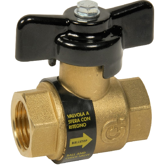 Vanne a clapet anti-retour PN 16 - L: 70 | Filetage: 1'' | L1: 50 | H: 60 Vanne a clapet anti-retour PN 16 - L: 70 | Filetage: 1'' | L1: 50 | H: 60-Lire la description