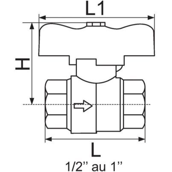 Vanne a clapet anti-retour PN 16 - L: 52 | Filetage : 1/2'' | L1: 35 | H: 49 Vanne a clapet anti-retour PN 16 - L: 52 | Filetage : 1/2'' | L1: 35 | H: 49-Lire la description