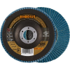 Lamellenschleifsch.LSZ F3125mm K 60 Rhodius