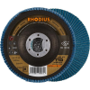 Lamellenschleifsch.LSZ F3115mm K 80 Rhodius Lamellenschleifsch.LSZ F3115mm K 80 Rhodius