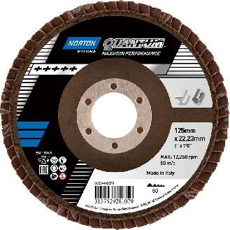 Fächecheibe Quantum 125 mm P60-Beschreibung lesen