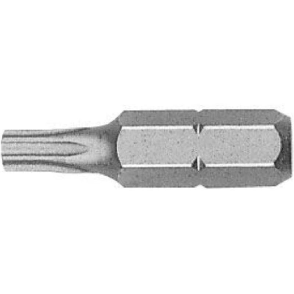 429482 - 5 Puntas Torx de Seguridad en cajita de plástico largo 25mm (TS 20)-Leer más