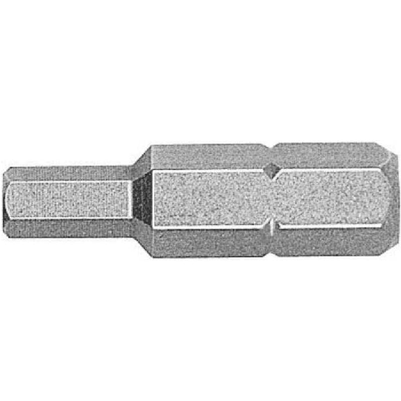 427084 - 10 Puntas en cajita de plástico largo 25mm (SW4)-Leer más