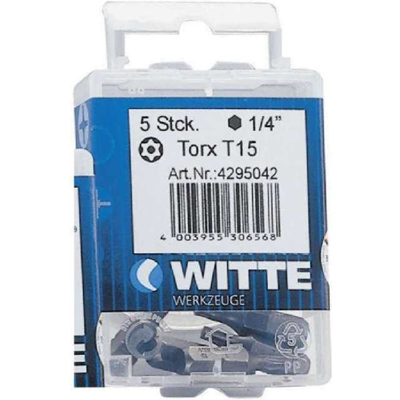 427730 - 5 Puntas en cajita de plástico largo 25mm (T10 STAINLESS)-Leer más