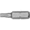 429486 - 5 Puntas Torx de Seguridad en cajita de plástico largo 25mm (TS 40)