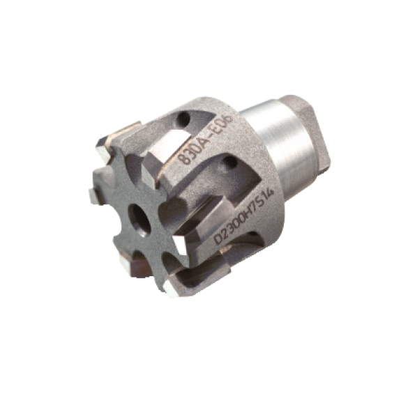 Punta a inserti foratura 830A-E06D2400H7S16 Punta a inserti foratura 830A-E06D2400H7S16-Leggi tutto
