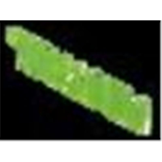 Lijadora de banda BS 75 E-Set - 576296 --Leer más