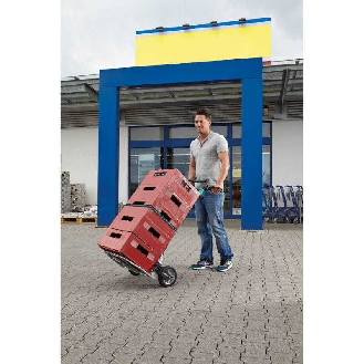 Carro de transporte plegable 200 kg-Leer más