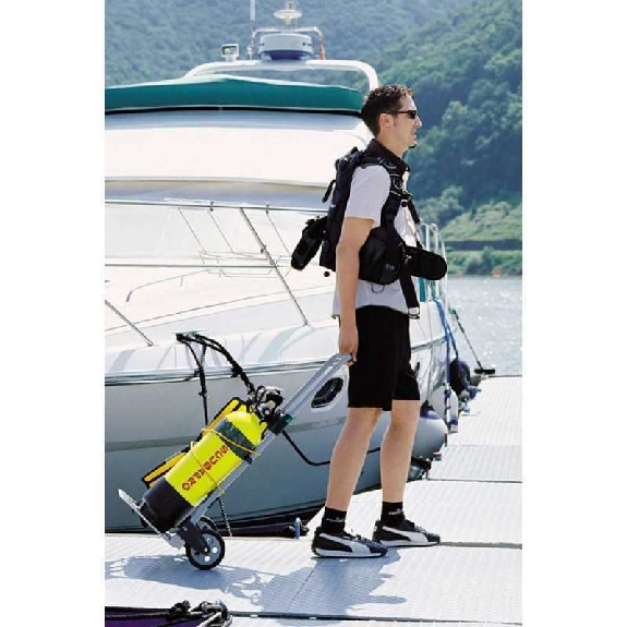 Carro de transporte plegable 70 kg-Leer más