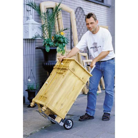 Carro de transporte plegable 70 kg-Leer más