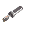 Punta a inserti A881-D0625LX19-02