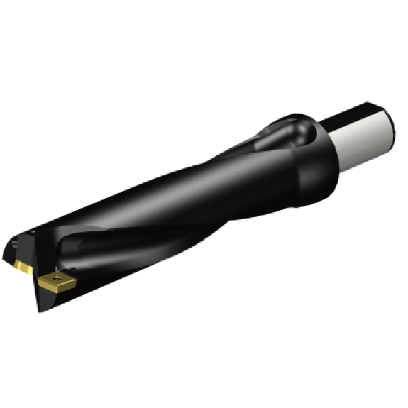 Punta a inserti foratura A880-D2125LX38-04 Punta a inserti foratura A880-D2125LX38-04-Leggi tutto
