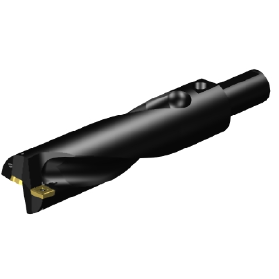 Punta a inserti A880-D2500P38-03-Leggi tutto