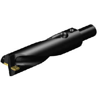 Punta a inserti A880-D2500P38-03-Leggi tutto