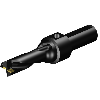 Punta a inserti A880-D1062P31-03