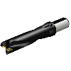 Punta a inserti foratura A880-D1750LX38-04