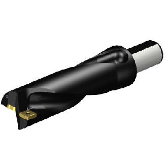 Punta a inserti A880-D2250LX38-03-Leggi tutto