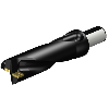 Punta a inserti A880-D2250LX38-03