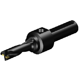 Punta a inserti A880-D0750P25-03-Leggi tutto