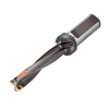 Punta a inserti A881-D0687LX25-05
