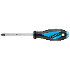 53312 - Destornillador Torx Seguridad MAXX (40x115)
