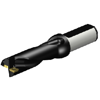 Punta a inserti A880-D1000LX25-03-Leggi tutto