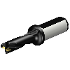 Punta a inserti A880-D0687LX25-03