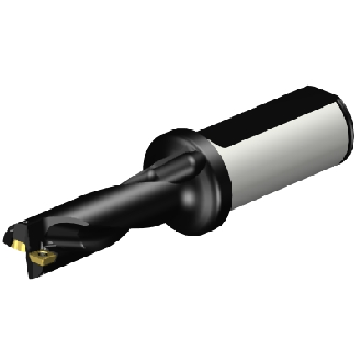 Punta a inserti A880-D0687LX25-03-Leggi tutto