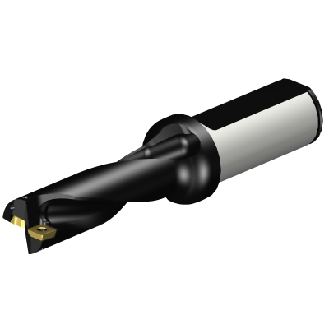 Punta a inserti A880-D0812LX25-03-Leggi tutto
