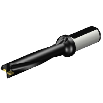 Punta a inserti foratura A880-D0812LX25-05-Leggi tutto