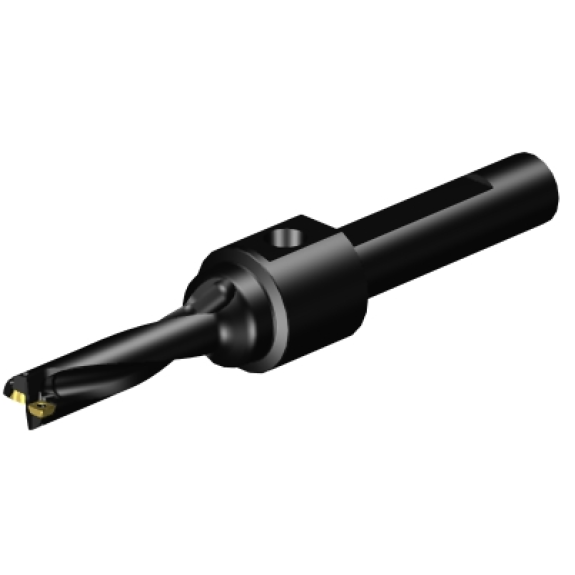 Bohrer mit Einsätzen A880-D0500P19-04-Beschreibung lesen