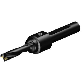 Punta a inserti A880-D0531P19-04-Leggi tutto