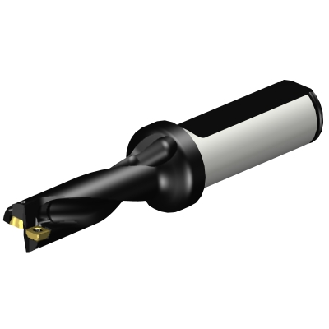 Punta a inserti A880-D0562LX19-03-Leggi tutto