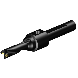 Punta a inserti A880-D0625P19-03-Leggi tutto