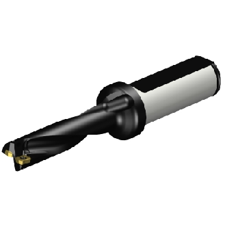 Punta a inserti A880-D0531LX19-04-Leggi tutto