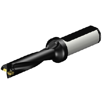 Punta a inserti A880-D0562LX19-04-Leggi tutto