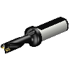 Punta a inserti A880-D0500LX19-03
