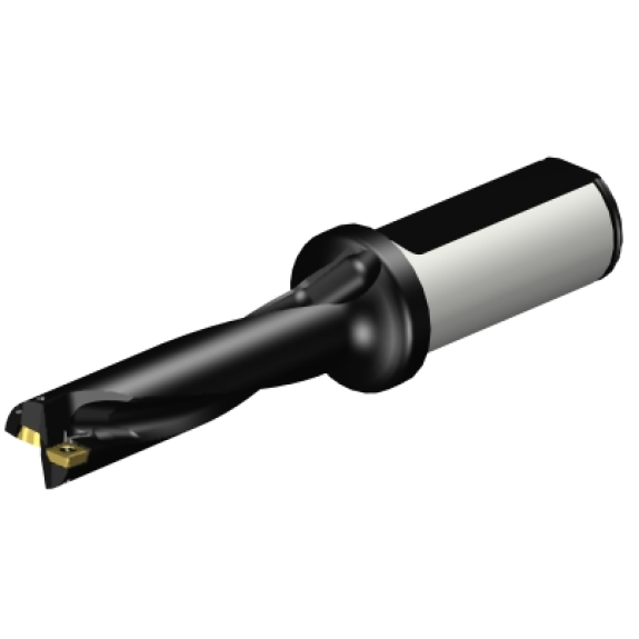 Punta a inserti A880-D0687LX25-04-Leggi tutto