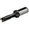 Punta a inserti A880-D0687LX25-04