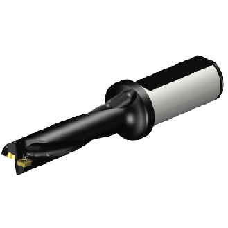 Punta a inserti A880-D0687LX25-04-Leggi tutto