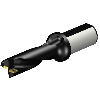 Punta a inserti foratura A880-D1250LX38-03