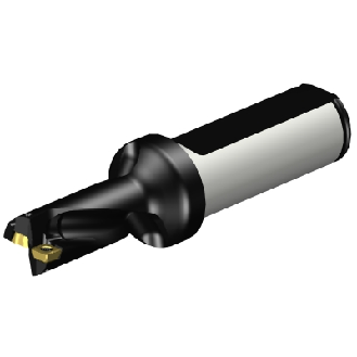 Punta a inserti A880-D0562LX19-02-Leggi tutto