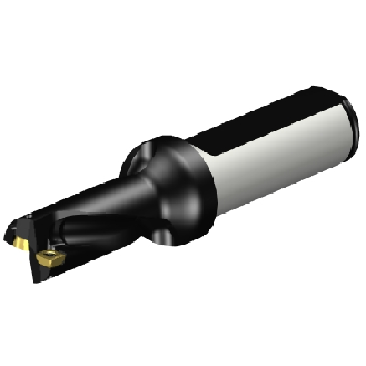 Punta a inserti A880-D0625LX19-02-Leggi tutto