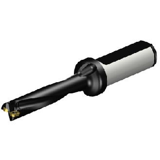 Punta a inserti A880-D0500LX19-05-Leggi tutto