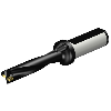 Punta a inserti foratura A880-D0531LX19-05
