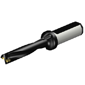 Punta a inserti foratura A880-D0531LX19-05-Leggi tutto