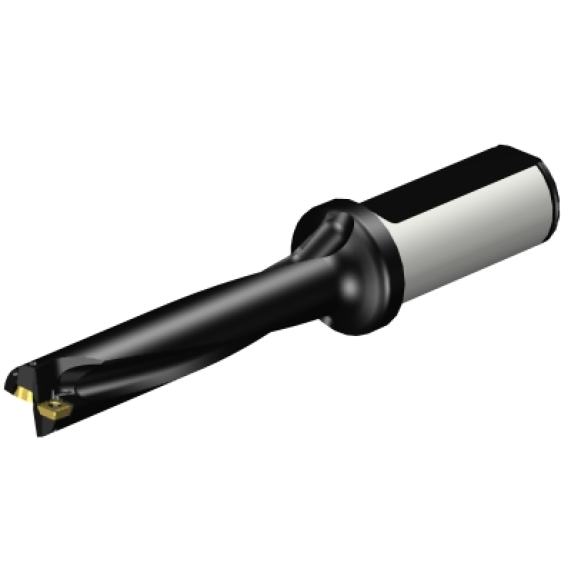 Punta a inserti A880-D0687LX25-05-Leggi tutto