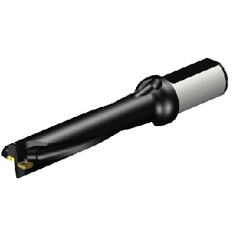 Punta a inserti foratura A880-D1062LX31-05-Leggi tutto