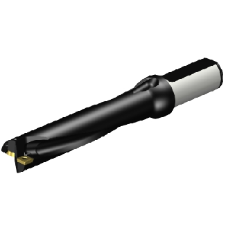 Punta a inserti A880-D1000LX25-05-Leggi tutto
